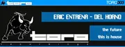 12inch Vinyl Single - Eric Entrena & Del Horno - The Future / This Is House