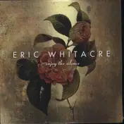 Eric Whitacre - Enjoy The Silence