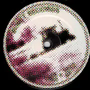 12inch Vinyl Single - Erik Jäähalli - Skogens Tårar - EP