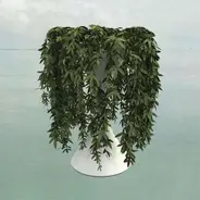 Errors - Lease of Life