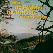 Erzgebirgsensemble Aue Singt Lieder Von Anton Günther - Wu De Walder Haamlich Rauschen