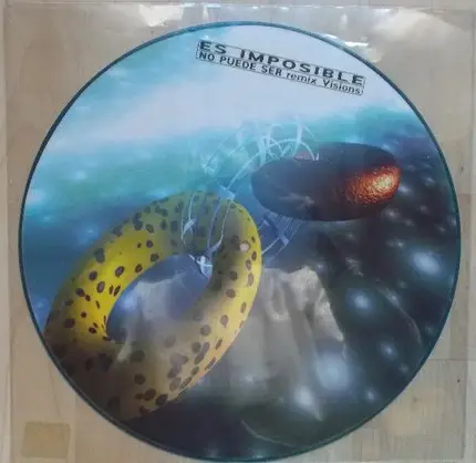 Es Imposible - No Puede Ser (Remix Visions) / Coming From The Sky