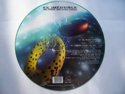 Es Imposible - No Puede Ser (Remix Visions) / Coming From The Sky