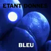 Double LP - Etant Donnes - Bleu - HQ-Vinyl LIMITED