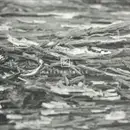 12inch Vinyl Single - Etym - Trial 02