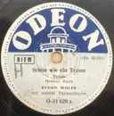 Schellack - Eugen Wolff Und Sein Tanzorchester - Schön Wie Ein Traum / Tango Anjuschka