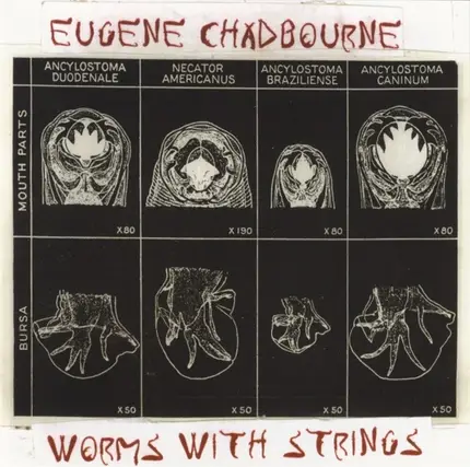 Eugene Chadbourne - Worms with Strings