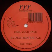 Evolution Bridge