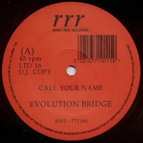 Evolution Bridge - Call Your Name