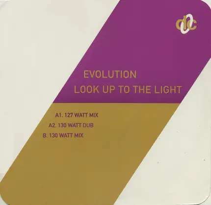 Evolution - Look up to the Light