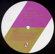 12inch Vinyl Single - Evolution - Look Up To The Light