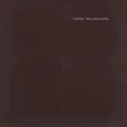 12inch Vinyl Single - Evolution - Your Love Is Calling