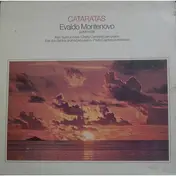 Evaldo Montenovo - Cataratas