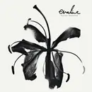 CD - Evaline - Woven Material