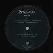 LP - Evanescence - The Ultimate Collection - Box-Set, 180g, Book