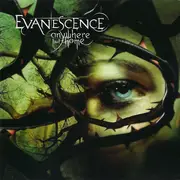 CD & DVD - Evanescence - Anywhere But Home