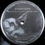Evanescence - Bring Me To Life