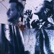 Double LP - Evanescence - The Bitter Truth