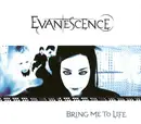 CD Single - Evanescence - Bring Me To Life