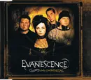 CD Single - Evanescence - My Immortal