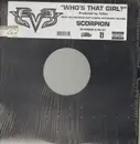 12inch Vinyl Single - Eve - Who's That Girl?