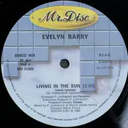 12inch Vinyl Single - Evelyn Barry - Living In The Sun