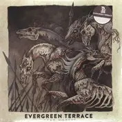 Evergreen Terrace