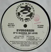 12inch Vinyl Single - Evergreen - It's Gonna Be Love
