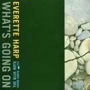 Everette Harp - What's Going On