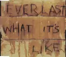 CD Single - Everlast - What It's Like