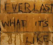CD Single - Everlast - What It'S Like