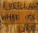 CD Single - Everlast - What It'S Like