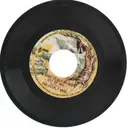 7inch Vinyl Single - Everly Brothers - I'm Here To Get My Baby Out Of Jail / Lightning Express