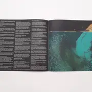 LP - Everything Everything - Man Alive - 1st UK Press with 2758306 Cat#