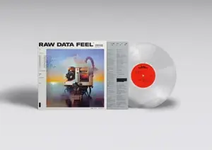 everything everything - Raw Data Feel