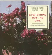 Everything But The Girl - Love Is Here Where I Live