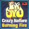 7inch Vinyl Single - Ex Ovo - Crazy Nature / Burning Fire