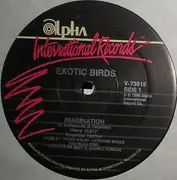 12inch Vinyl Single - Exotic Birds - Imagination
