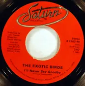 Exotic Birds - No Communication