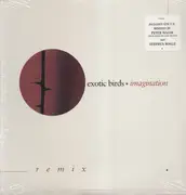 12'' - Exotic Birds - Imagination