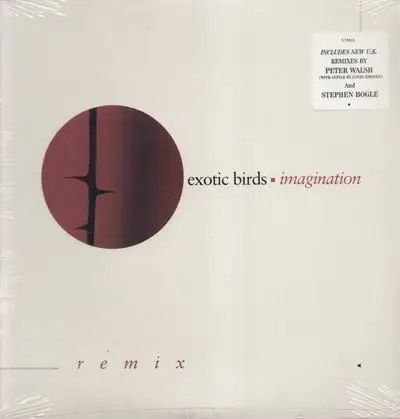 Exotic Birds - Imagination