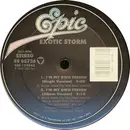 12'' - Exotic Storm - I'm My Own Person