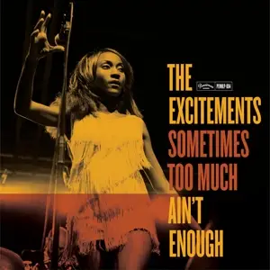 The EXCITEMENTS - Sometimes Too Much Ain't Enough