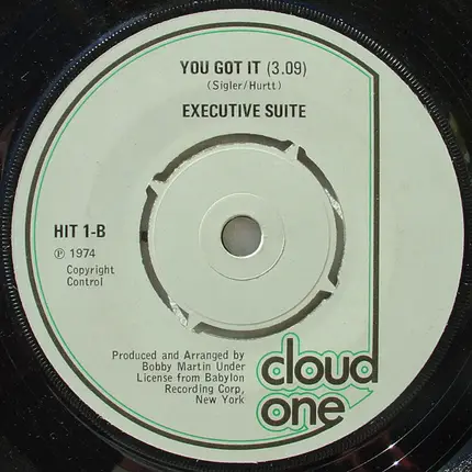 Executive Suite - When The Fuel Runs Out / You Got It
