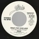 7'' - Exile - Crazy For Your Love - Promo Copy