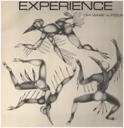 Experience - Oh! What A Feeling