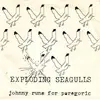 7inch Vinyl Single - Exploding Seagulls - Johnny Runs For Paregoric