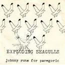7inch Vinyl Single - Exploding Seagulls - Johnny Runs For Paregoric