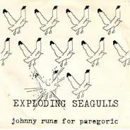 Exploding Seagulls - Johnny Runs For Paregoric