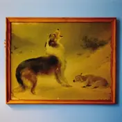 Explosions in the Sky - The Rescue-Anniversary Edition